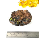 Pyromorphite on Matrix Specimen from Morocco (Achieve Goals)