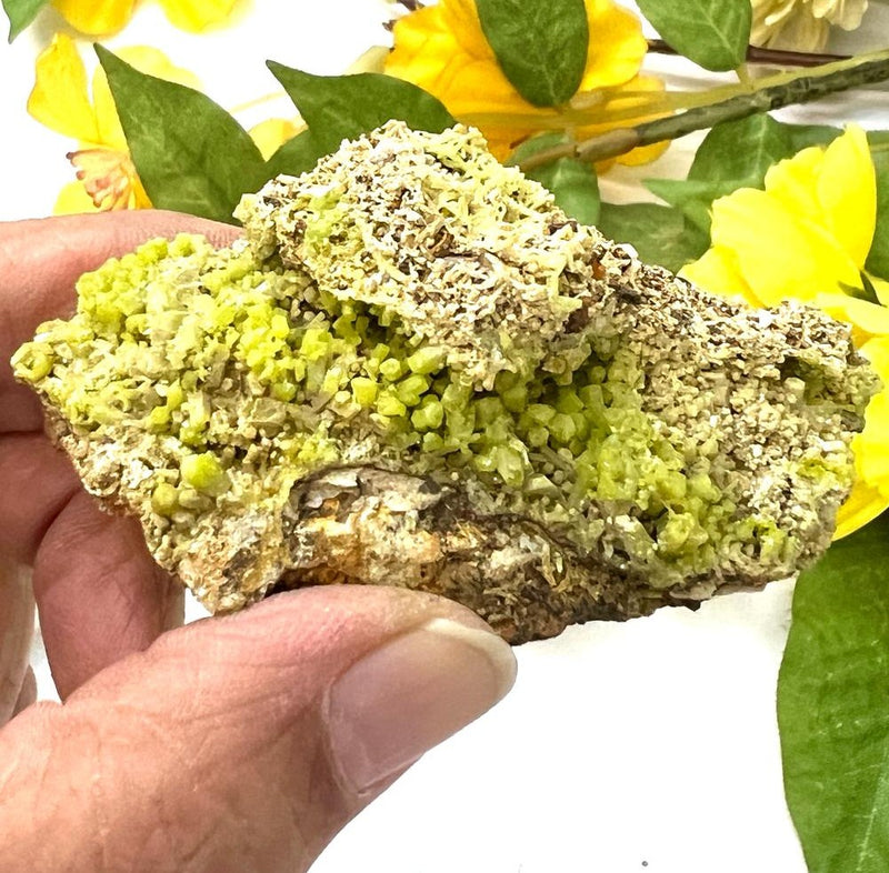 Pyromorphite Cluster Specimen from China (Guangxi)