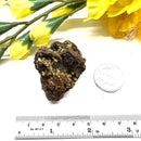 Pyromorphite on Matrix Specimen from Morocco (Achieve Goals)