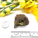 Pyromorphite on Matrix Specimen from Morocco (Achieve Goals)