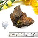 Pyromorphite on Matrix Specimen from Morocco (Achieve Goals)