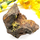 Pyromorphite on Matrix Specimen from Morocco (Achieve Goals)