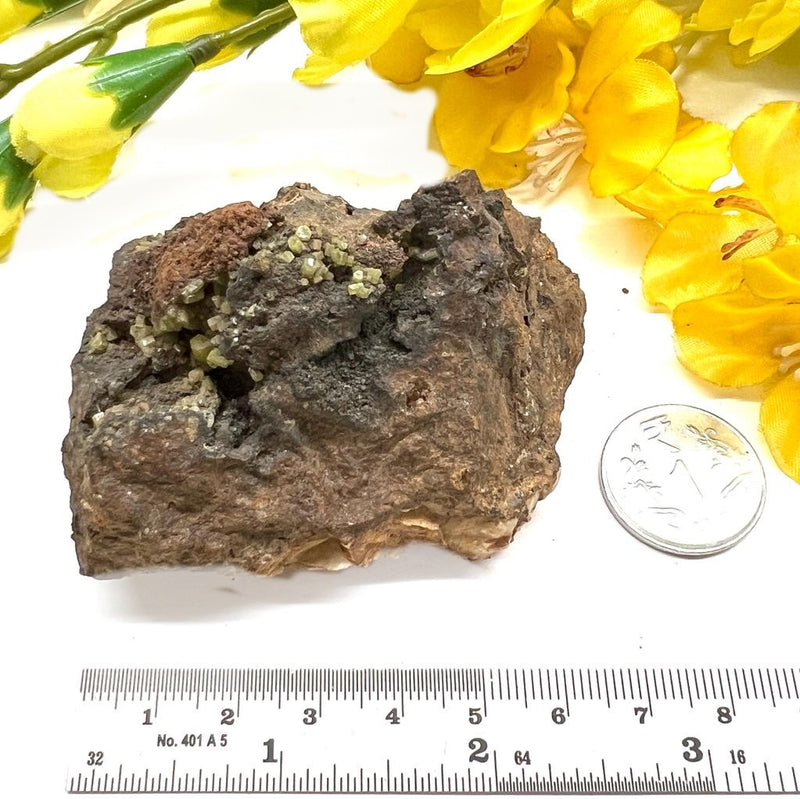 Pyromorphite on Matrix Specimen from Morocco (Achieve Goals)