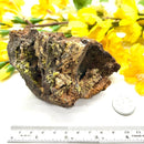 Pyromorphite on Matrix Specimen from Morocco (Achieve Goals)