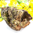 Pyromorphite on Matrix Specimen from Morocco (Achieve Goals)