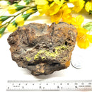 Pyromorphite on Matrix Specimen from Morocco (Achieve Goals)