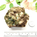 Quartz and Epidote on Matrix (Remove the Victim feeling)