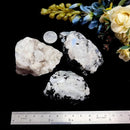 Rainbow Moonstone Rough (Divine Feminine energy)