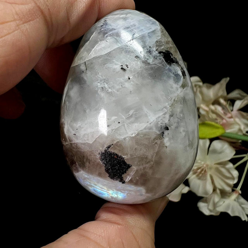 Rainbow Moonstone Egg (Psychic perception)