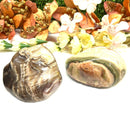 Rainbow Jasper Free Forms (Comfort & Stability)