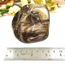 Rainbow Jasper Free Forms (Comfort & Stability)