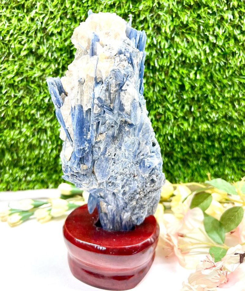 Raw Blue Kyanite on a Stand (Aura Cleanser & High Vibration)
