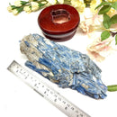 Raw Blue Kyanite on a Stand (Aura Cleanser & High Vibration)