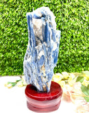 Raw Blue Kyanite on a Stand (Aura Cleanser & High Vibration)