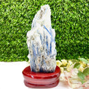 Raw Blue Kyanite on a Stand (Aura Cleanser & High Vibration)