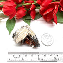 Red Vanadinite on Barite Matrix from Morocco