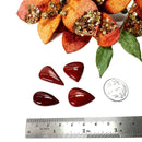 Red Jasper Cabochon (Endurance)