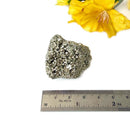 Pyrite Cluster Regular Quality (For Fame and Fortune)