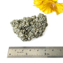 Pyrite Cluster Regular Quality (For Fame and Fortune)