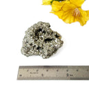 Pyrite Cluster Regular Quality (For Fame and Fortune)