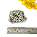 Pyrite Cluster Regular Quality (For Fame and Fortune)