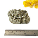 Pyrite Cluster Regular Quality (For Fame and Fortune)