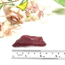 Rhodonite Rough Gem Quality- Rare(Attract Loving Vibrations)