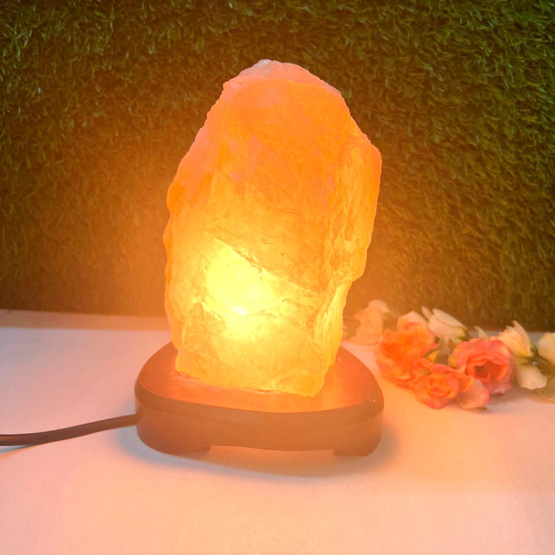 Rose Quartz Lamps on Wooden Stand