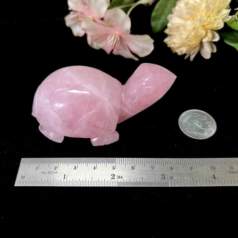 Turtles in Rose Quartz (Harmony and Love)