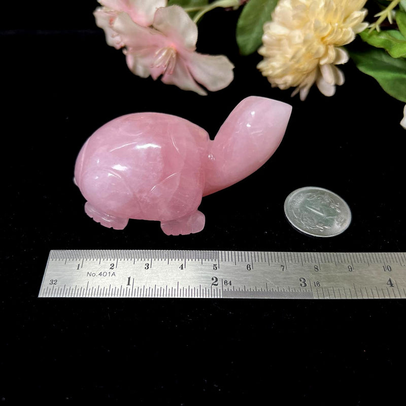 Turtles in Rose Quartz (Harmony and Love)