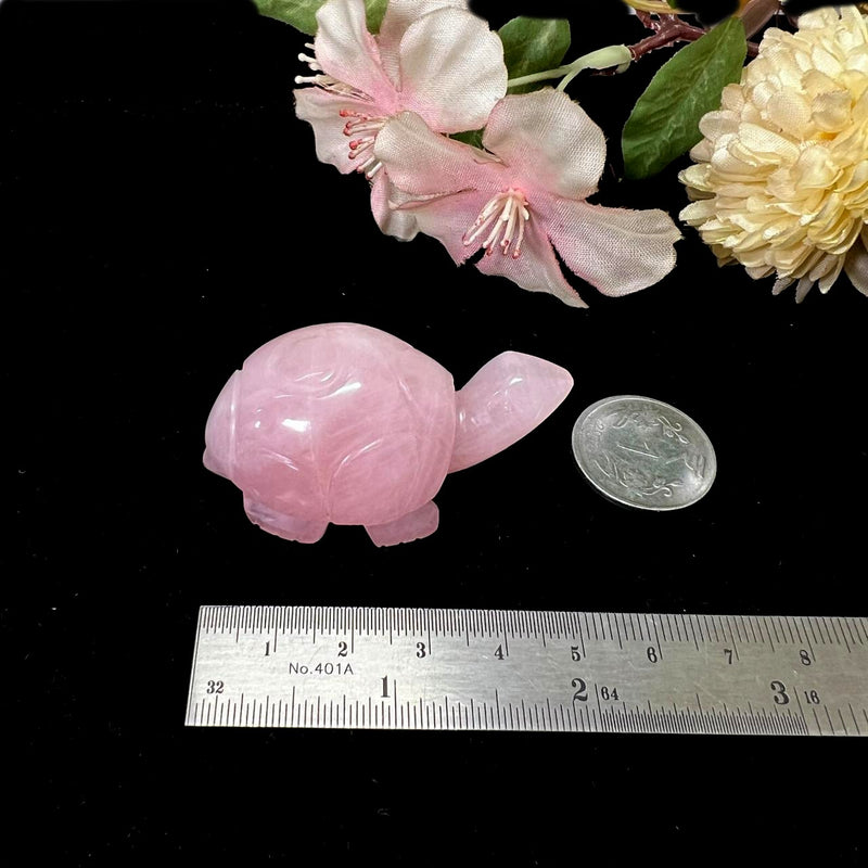 Turtles in Rose Quartz (Harmony and Love)