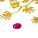 Ruby Gem stone - African (Vitality & Success)