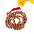 Rudraksha 108 + 1=109 Beads Jaap Mala (Meditation & Chanting)