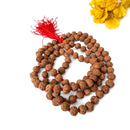 Rudraksha 108 + 1=109 Beads Jaap Mala (Meditation & Chanting)
