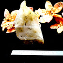 Golden and Green Rutile Quartz Free Forms (Transition)