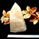 Golden and Green Rutile Quartz Free Forms (Transition)