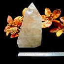 Golden and Green Rutile Quartz Free Forms (Transition)