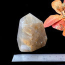 Golden and Green Rutile Quartz Free Forms (Transition)