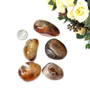Sardonyx Tumbled Stone (Bring Order in Life)