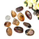 Sardonyx Tumbled Stone (Bring Order in Life)