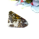 Seymchan Pallasite Meteorite from Russia (Spiritual Growth)