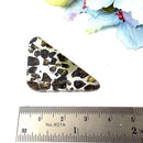 Seymchan Pallasite Meteorite from Russia (Spiritual Growth)