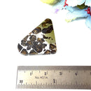 Seymchan Pallasite Meteorite from Russia (Spiritual Growth)