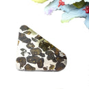Seymchan Pallasite Meteorite from Russia (Spiritual Growth)