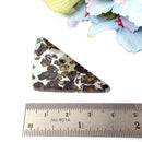 Seymchan Pallasite Meteorite from Russia (Spiritual Growth)