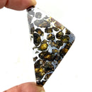 Seymchan Pallasite Meteorite from Russia (Spiritual Growth)