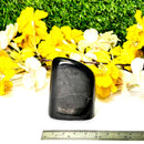 Shungite Free Forms (Protection & Detoxification)