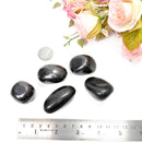 Shungite Tumble (Detoxification and protection)