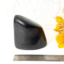 Shungite Free Forms (Protection & Detoxification)