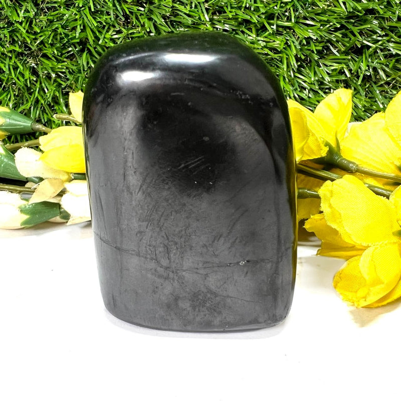 Shungite Free Forms (Protection & Detoxification)